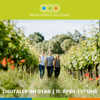 Digitaler Infotag Weincampus Neustadt